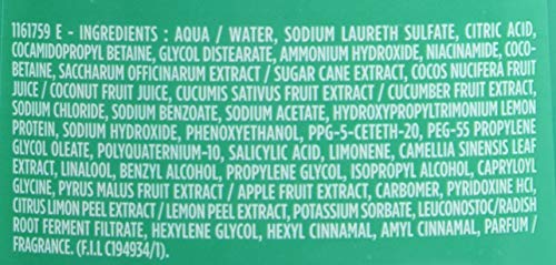 Garnier Fructis Shampoo mit Kokoswasser für fettige Ansätze