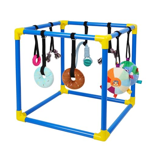 Liitrton Puppy Play Gym - Small Dogs Play Gym with 8 Hanging Toys, Indoor Puppy Jungle Gym with Interactive Dog Enrichment Toys, 19.5"x19.5"x19.5" PVC Frame (Blue)