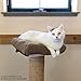 Kitty City Sisal Post Scratcher Perch Platform Attachment Accessory (Perch Platform Only)