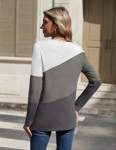 Zeagoo Women's Color Block Tops Long Sleeve Fall Tunic Top Casual Round Neck Pullover Shirts Dressy Work Outfit 20254