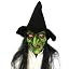 Green Witch Mask With Wig Hat
