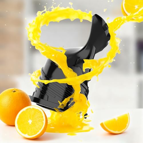 Vertical Masticating Juicer Machine