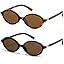 Tortoise+brown
