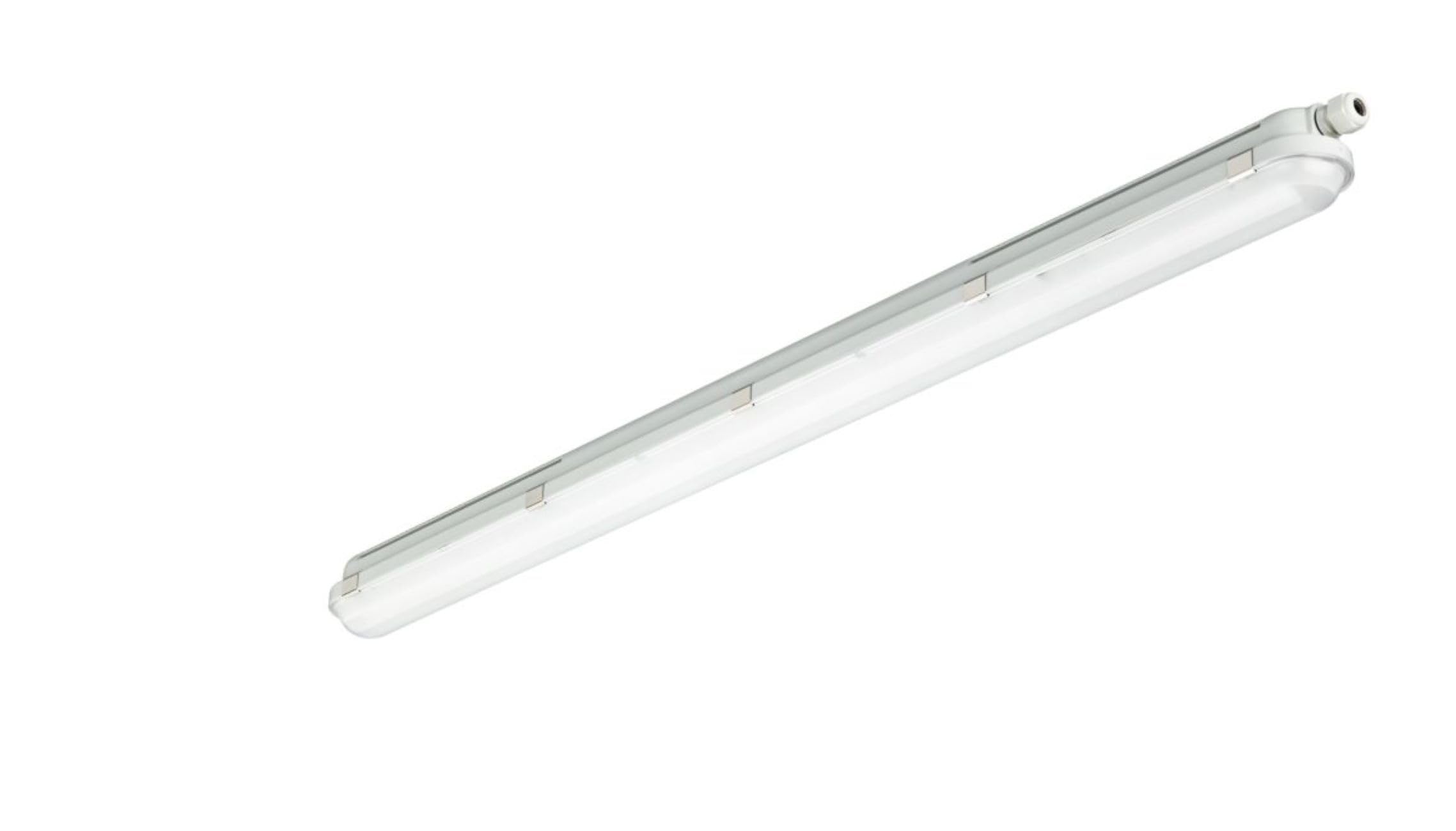 PHILIPS Bombillas halógenas de la marca modelo 50221599