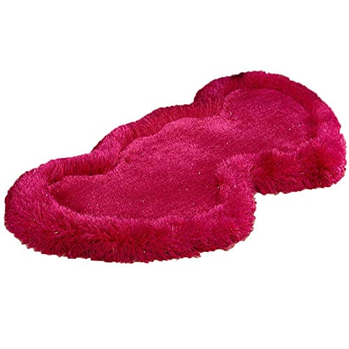 Tapis de salon double coeur en chenille pour une entrée accueillante