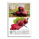 Ruby Queen Red Beet Seeds for Planting, 100+ Heirloom Seeds Per Packet, (Isla's Garden Seeds), Non GMO Seeds, Botanical Name: Beta vulgaris, Great Home Garden Gift