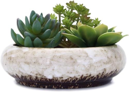 Macetas redondas grandes de cerámica esmaltada para suculentas de 7.3 pulgadas con agujero de drenaje, macetas de bonsái decorativas para jardín, soporte de cactus (blanco)