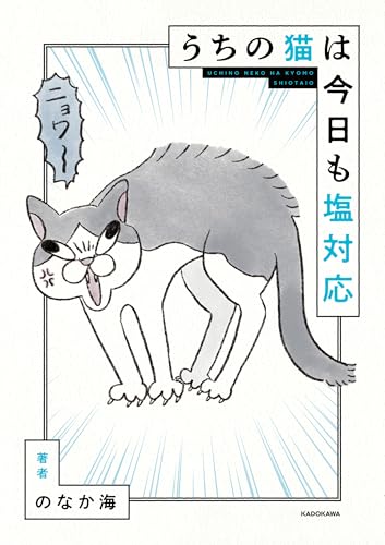 うちの猫は今日も塩対応