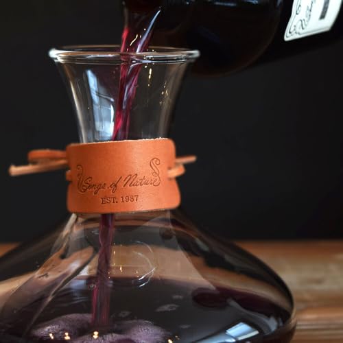 アート・ラボ Songs of Nature カラフェディフューザー[ブルゴーニュ]500ml スティック6本付き| ルームフレグランス オイル スティック ギフト プレゼント お取り寄せ 通販 ふるさと納税