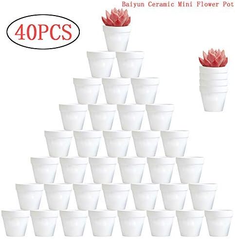 Miniatura 7 de Maceta de plástico de 3 pulgadas, maceta decorativa moderna para jardín y drenar todas las plantas de interior, flores, hierbas, violetas africanas,