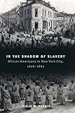 In the Shadow of Slavery: African Americans in New York City, 1626-1863 (Historical Studies of Urban America)