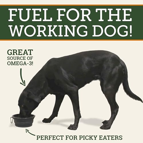 DogBone Omega 3 Fish Oil for Dogs - EPA + DHA Supplement for Hip & Joint, Heart, Skin Support - Omega 6 Fatty Acids - Help Hunting Dog Recovery – Improve Puppy, Senior Canine Health – 32oz Pump Bottle
