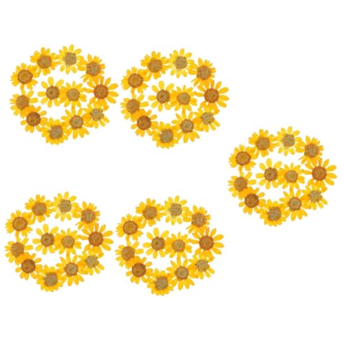 120 flores secas margaritas para manualidades y decoración miniatura 1