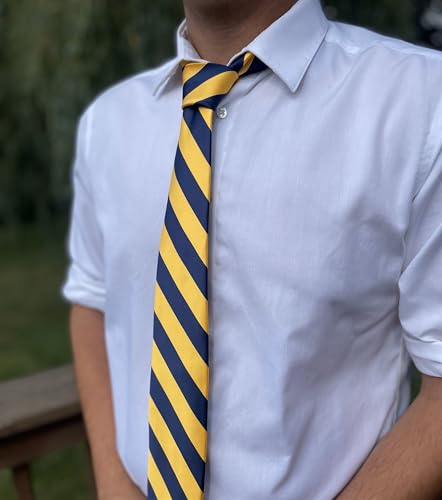 Image of tiemart Men's Striped Tie Standard Length