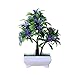 Produktbild Künstliche Pflanzen Blumen Kunstpflanzen im Topf Kunststoff Büsche Topfblumen Künstliche Pflanzen für Küche Garten Hause Wohnzimmer Deko7 x 24 x13.5 cm