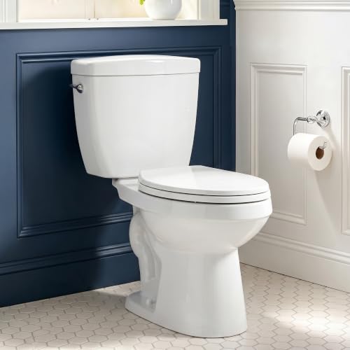 Image of 17.3 inch Elongated Toilet with Soft Close Seat, Two piece Toilets for Bathroom