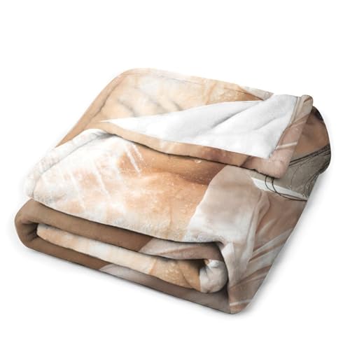 uPbg | tl ѕz Ђ y 􂦂 RۖhL ʋC ÓdCh~ \t@[p tďH~Ή  ItBX[΍ 200x150cm