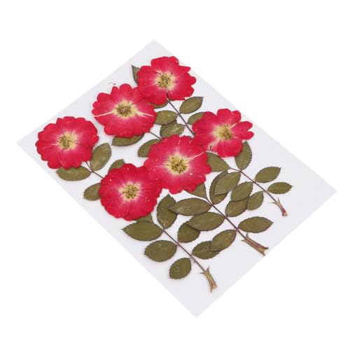 Flores de Rosa Secas PRETYZOOM x12 Piezas para Decoración miniatura 1