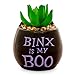 Toynk Disney Hocus Pocus Binx is My Boo 3-Inch Ceramic Mini Planter with Artificial Succulent | Small Flower Pot for Crafts, Faux Indoor Plants for Desk Shelf, Home Decor Trinket Tray