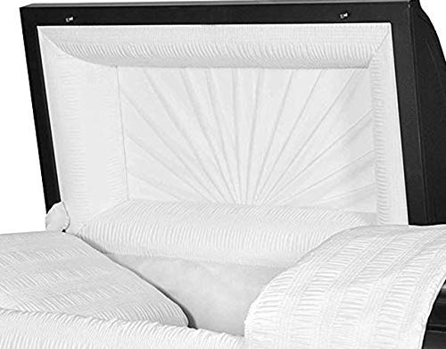 Titan Casket Orion Series Steel Casket (Black) Handcrafted Funeral Casket - Black Finish With White Crepe Interior #TOP1