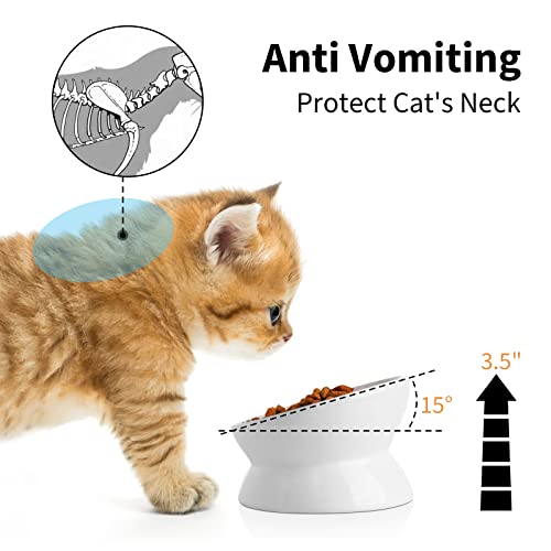 Nucookery Ceramic Cat Food Bowl Elevated,Raised Tilted Bowl Protect Pets' Spines And Neck, Anti Vomiting Cat Bowl, Small Dog Cat Kitten Supplies (5“, Pure White) #TOP1
