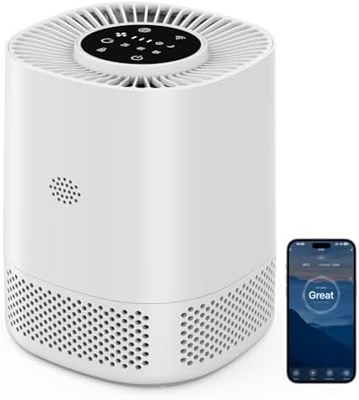 Purificador de Aire con Filtro HEPA H13, Puede Filtrar el 99,97% ...