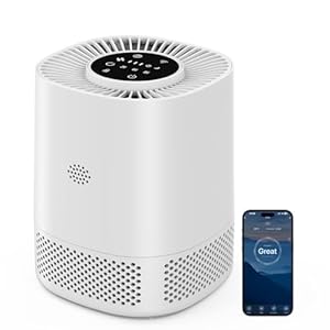 Luftreiniger mit H13 HEPA Filter, Filtert 99,97% des Staubs und Partikel bis zu Einer Größe von 0,3 Mikrometern, Schlafmodus (20 dB) und Automodus, Drei Geschwindigkeiten für den Heimgebrauch