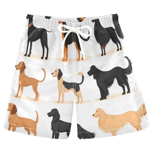 Boys Beach Board Shorts Cartoon Dog Cute Swim Trunk Teen Swimwear 8-16Y Multicolor