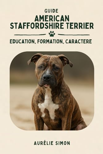 Amstaff: Education, Formation, Caractère du American Staffordshire Terrier