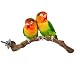 BWOGUE Bird Perch,Natural Grapevine Bird Cage Perch for Parrot Cages Toy