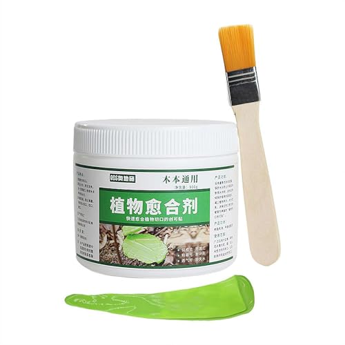500g 植物治癒クリーム ブラシ付き 樹木切り口保護剤 枝の切り口に癒合剤 盆栽癒合剤 植物成長調整剤 樹木剪定シーラー 剪定後の切り口保護に 園芸植物接ぎ 樹木切開治癒クリーム 木の傷のシーラー 傷保護 樹木修復剤 園芸用品