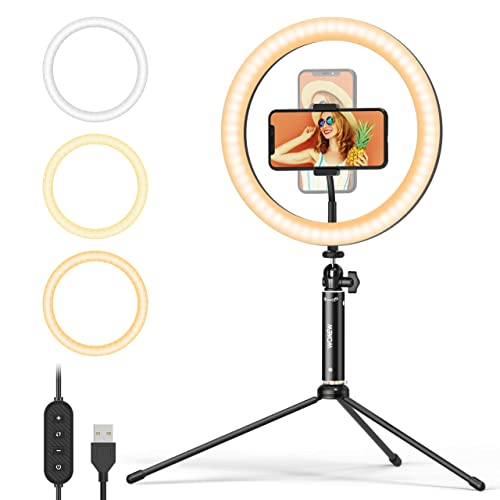 Wonew 80 Led Selfie Light with Phone Clip, LED Video Camera Light, Phone Light for Picture, 2000mAh Rechargeable Fill Light for iPad/Laptop/TikTok/Makeup/Vlog (10