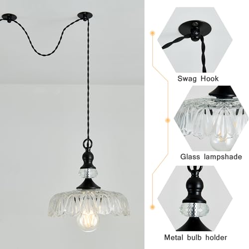 Image of CVKASH Plug in Glass Pendant Light Fixture Black Vintage Adjustable Chandelier Hanging Ceiling Light for Farmhouse Hallway Bedroom Foyer Kitcken Dining Room Island.