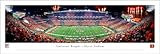 Cincinnati Bengals, Stripe - Unframed 40 x 13.5 Poster by Blakeway Panoramas
