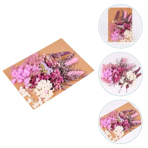 Paquete de Flores Secas Naturales para Manualidades miniatura 6