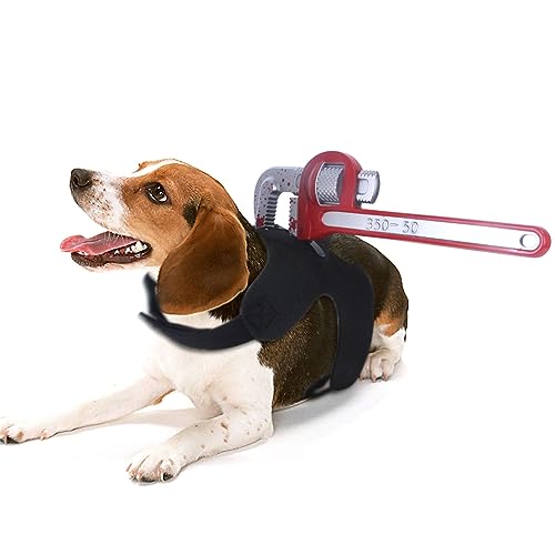 �n���E�B���e�[�}�y�b�g���������ߑ��q�L�R�X�v���h���X�A�b�v�L���[���q���q�L�p�[�e�B�[�A�N�Z�T���[���n���E�B���ߑ�