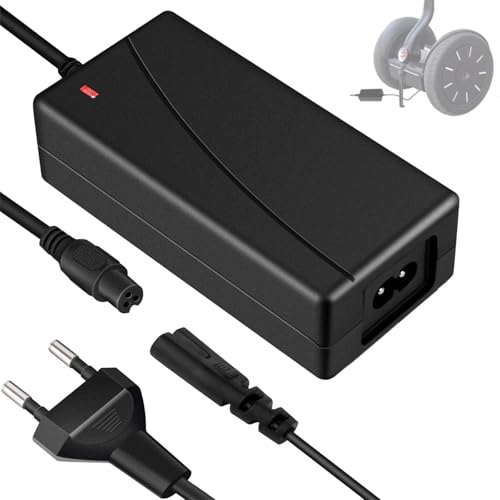 GOMETY Câble de charge pour hoverboard - 42 V - 2 A - Chargeur AC 3 broches - Chargeurs pour e-Scooter - Chargeur de batterie pour scooter électrique -...
