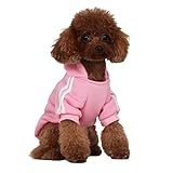 vestiti halloween cani fai da te 💕💕Materiale super morbido e confortevole: le felpe per cani sono realizzate con materiale super confortevole e morbido, che può mantenere il tuo cane caldo in tutto il freddo inverno. Il materiale leggero e traspirante non ostacolerà la routine quotidiana del tuo animale domestico. Quindi non è necessario preoccupati che questi vestiti danneggino il tuo animale domestico.