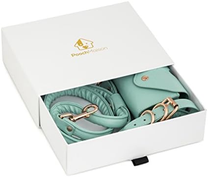 Matching Dog Walking Accessories (Small, Green): 3 in 1 PU Leather Set with Adjustable Leash, Collar and Essentials Bag for Poop Bags, Keys, Treats and Cards in Gift Box - Walk Your Dog in Style