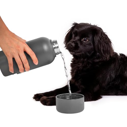 Ubbi Pup & Me Stainless Steel Insulated Water Bottle with Dog Bowl