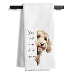 B-goldendoodle 06