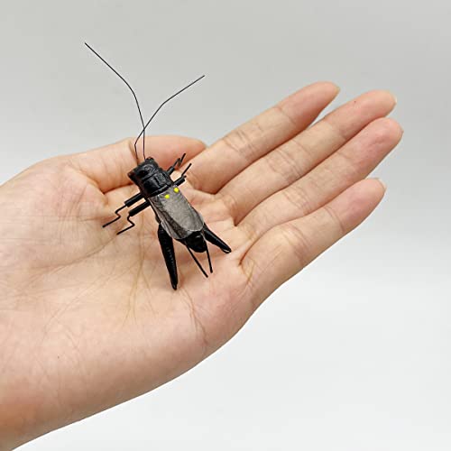 5Pcs Cricket Garden Decor Yard Art Bugs Insect Magnets For Home Outdoor Decoration Landscape Education Model Toys Mixed Color #TOP2