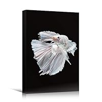 SIGNWIN Canvas Wall Art Poisson Combattant Blanc White Fighting Fish with Pink Fins Marine Life Ocean Photography Modern Art Nautical Closeup Colorful for Living Room, Bedroom, Office - 12x18 inches