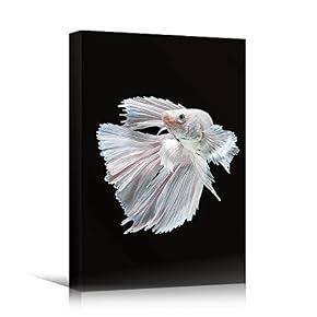SIGNWIN Canvas Wall Art Poisson Combattant Blanc White...