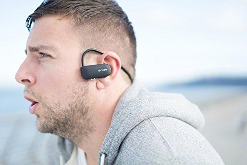 Sony Wireless Sport Headphones With Music Player, Gps/Hr, Fitness Tracking, Ssebtr1/B #TOP4