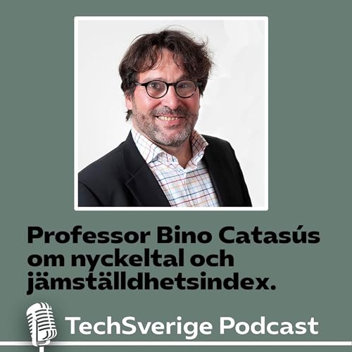 Bino Catas&uacute;s om nyckeltal och j&auml;mst&auml;lldhetsindex