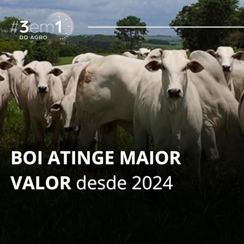 859. #3em1Agro - 13/02/26