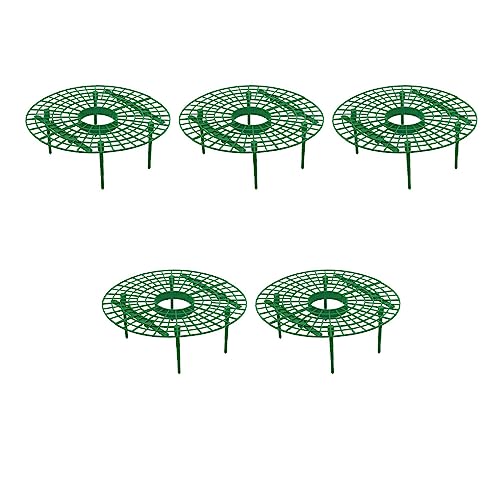 XUSIJAKQ1 Suporte para planta de morango suporte para trepar trepadeira para crescimento evita apodr