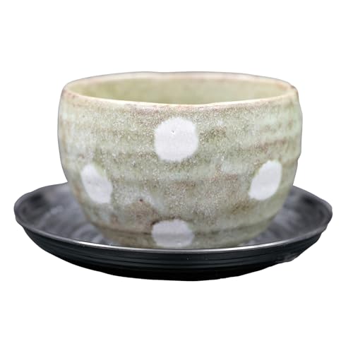 美濃焼 抹茶茶碗 湯呑み 陶器 約径9.5×高さ7cm 約250ml 電子レンジ 食洗機対応 茶托付き ゆったり碗 渋草水玉 日本製 UM-00163