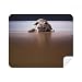 Dog Animal Room Floor Picture Cleaning Cloth Screen Cleaner 2pcs Suede Fabric